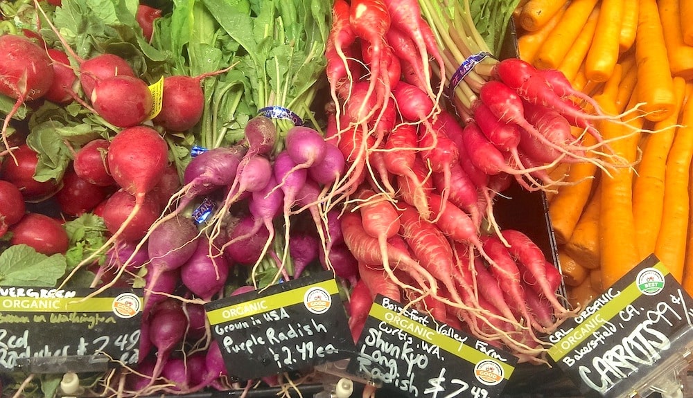 無料EA_ポートフォリオ